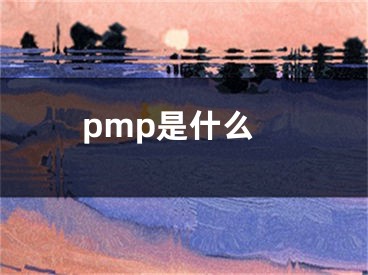 pmp是什么