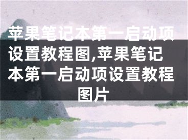 苹果笔记本第一启动项设置教程图,苹果笔记本第一启动项设置教程图片