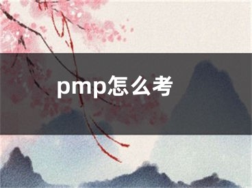 pmp怎么考