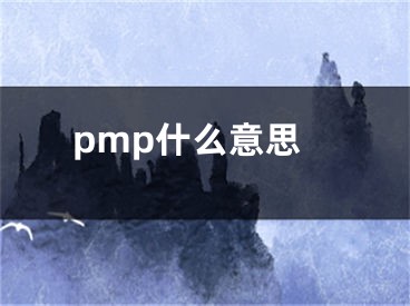 pmp什么意思