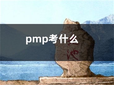 pmp考什么