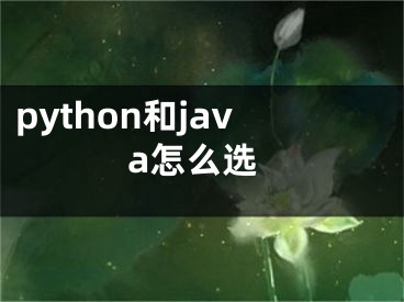 python和java怎么选