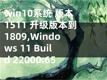 win10系统 版本1511 升级版本到1809,Windows 11 Build 22000.65