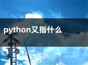 python又指什么