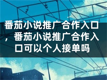 番茄小说推广合作入口，番茄小说推广合作入口可以个人接单吗