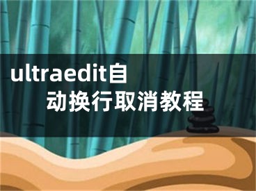 ultraedit自动换行取消教程