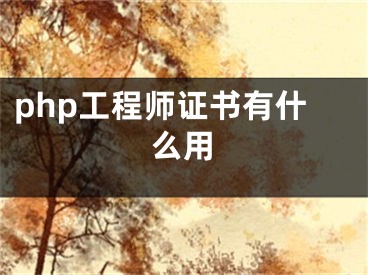 php工程师证书有什么用