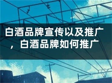 白酒品牌宣传以及推广，白酒品牌如何推广