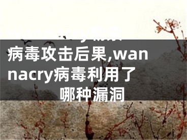 wannacry勒索病毒攻击后果,wannacry病毒利用了哪种漏洞