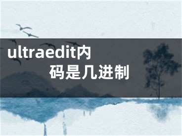 ultraedit内码是几进制