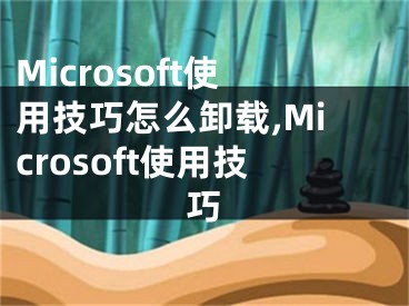 Microsoft使用技巧怎么卸载,Microsoft使用技巧