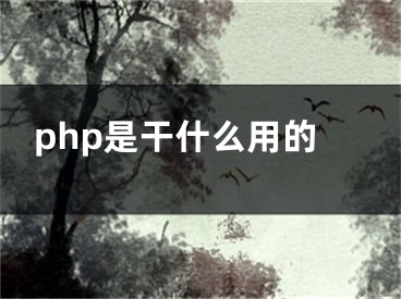 php是干什么用的