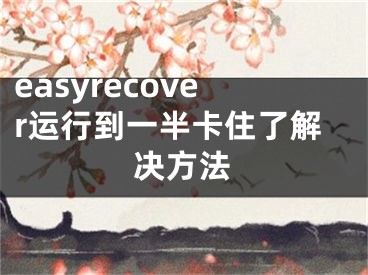 easyrecover运行到一半卡住了解决方法