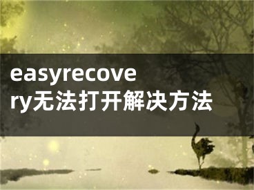 easyrecovery无法打开解决方法