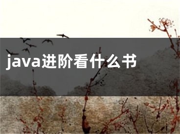 java进阶看什么书