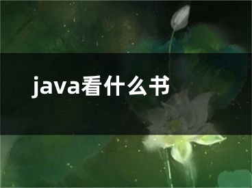 java看什么书