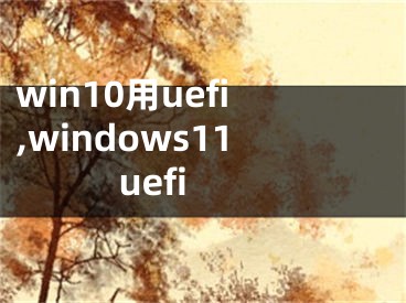 win10用uefi,windows11 uefi