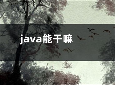 java能干嘛