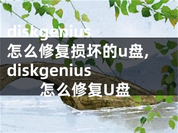 diskgenius怎么修复损坏的u盘,diskgenius怎么修复U盘