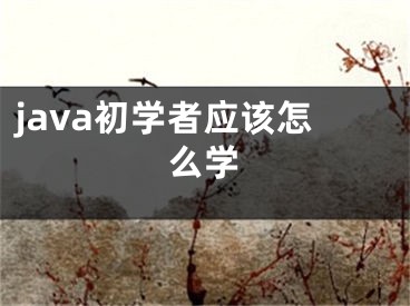 java初学者应该怎么学