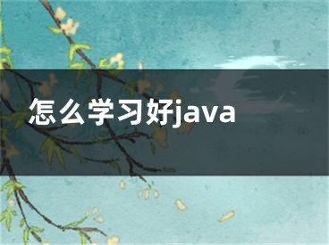 怎么学习好java