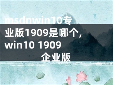 msdnwin10专业版1909是哪个,win10 1909企业版 