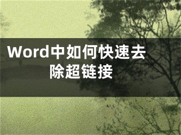 Word中如何快速去除超链接 