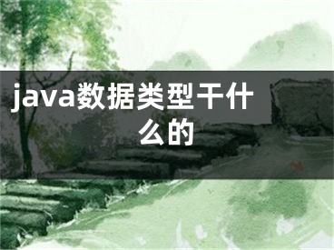 java数据类型干什么的