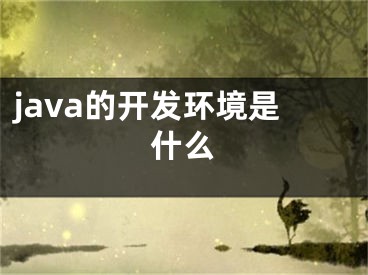 java的开发环境是什么