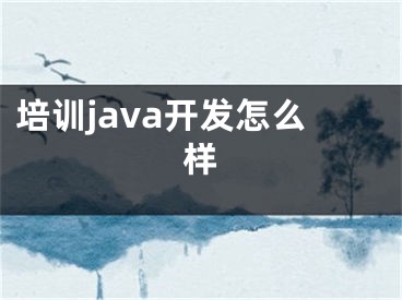 培训java开发怎么样