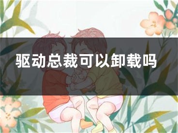 驱动总裁可以卸载吗