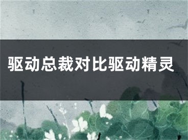 驱动总裁对比驱动精灵