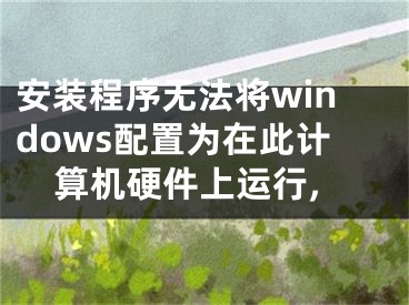 安装程序无法将windows配置为在此计算机硬件上运行,