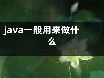 java一般用来做什么