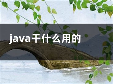 java干什么用的