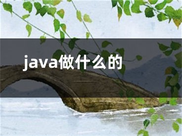 java做什么的