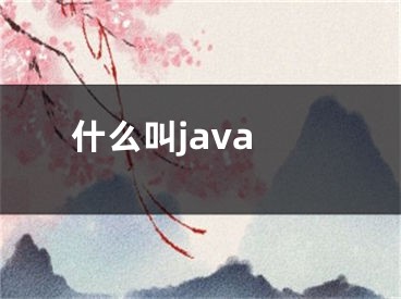 什么叫java