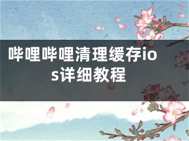 哔哩哔哩清理缓存ios详细教程