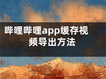 哔哩哔哩app缓存视频导出方法