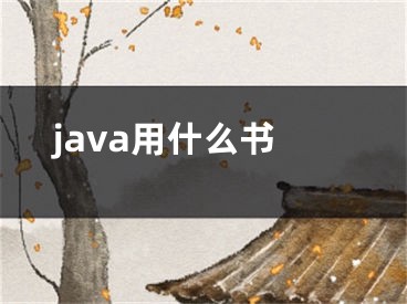 java用什么书