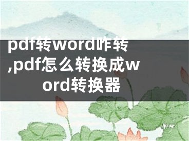 pdf转word咋转,pdf怎么转换成word转换器