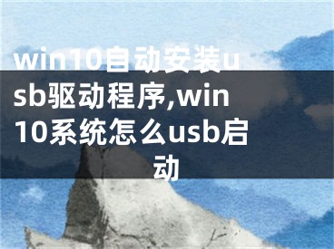 win10自动安装usb驱动程序,win10系统怎么usb启动