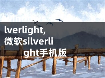 windows silverlight,微软silverlight手机版