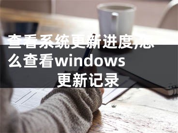 查看系统更新进度,怎么查看windows更新记录