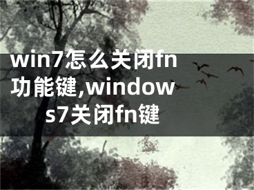 win7怎么关闭fn功能键,windows7关闭fn键