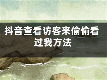 抖音查看访客来偷偷看过我方法