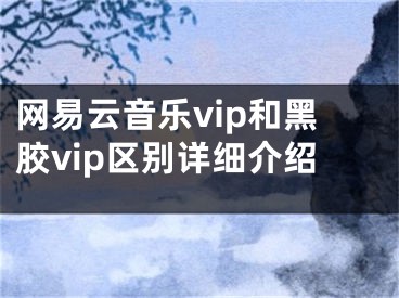 网易云音乐vip和黑胶vip区别详细介绍