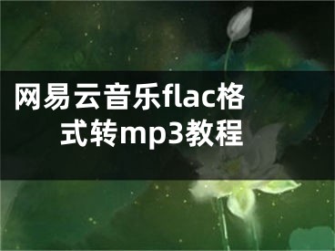 网易云音乐flac格式转mp3教程