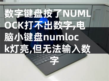 数字键盘按了NUMLOCK打不出数字,电脑小键盘numlock灯亮,但无法输入数字