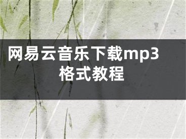 网易云音乐下载mp3格式教程